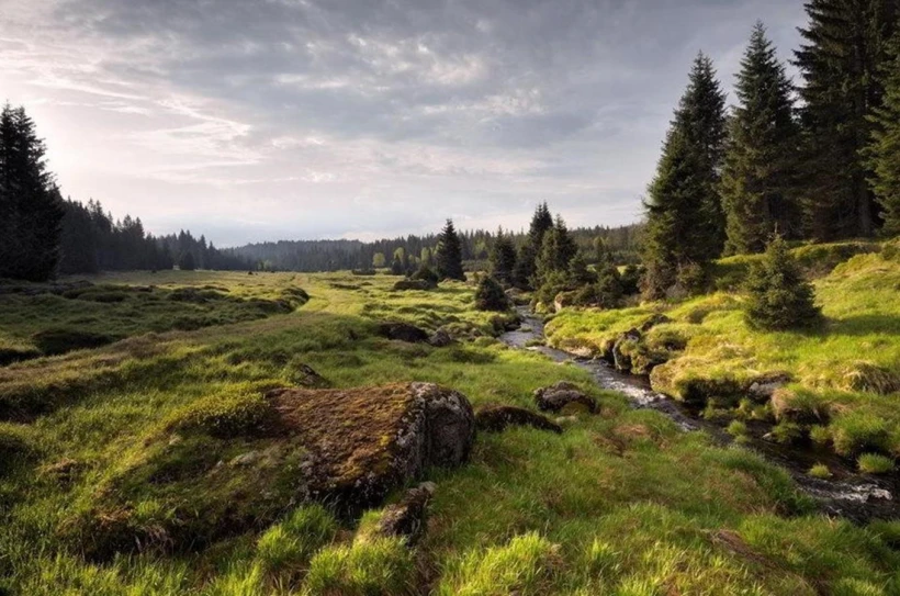 Národní park Šumava zpřístupní dosud zakázané kouty šumavské přírody – Kudy  z nudy