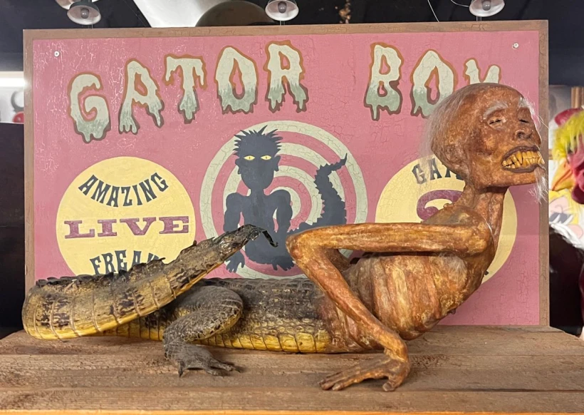 The Oddities Museum - Atlas Obscura