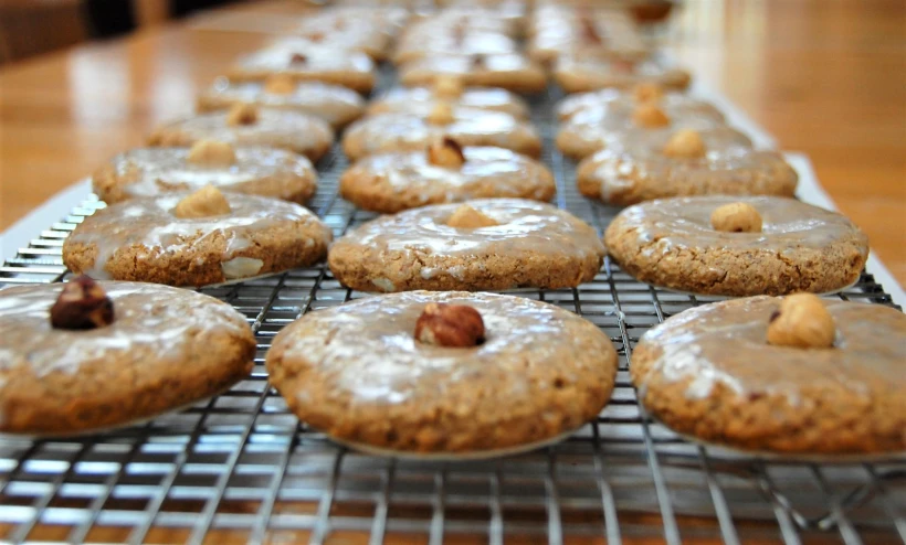 My Authentic German Lebkuchen updated 12/2023