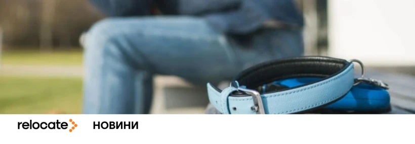 Везете кота з Британії до ЄС? Що тепер потрібно знати українцям