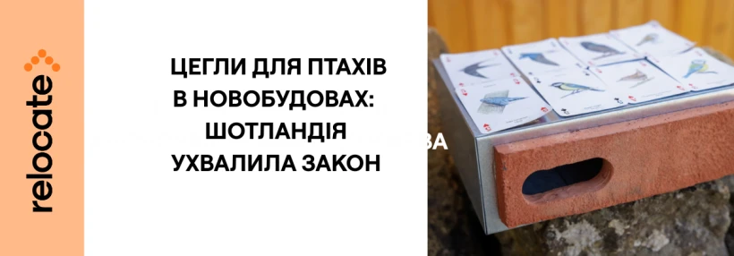 Шотландія зобов'язує всі новобудови мати цегли для стрижів