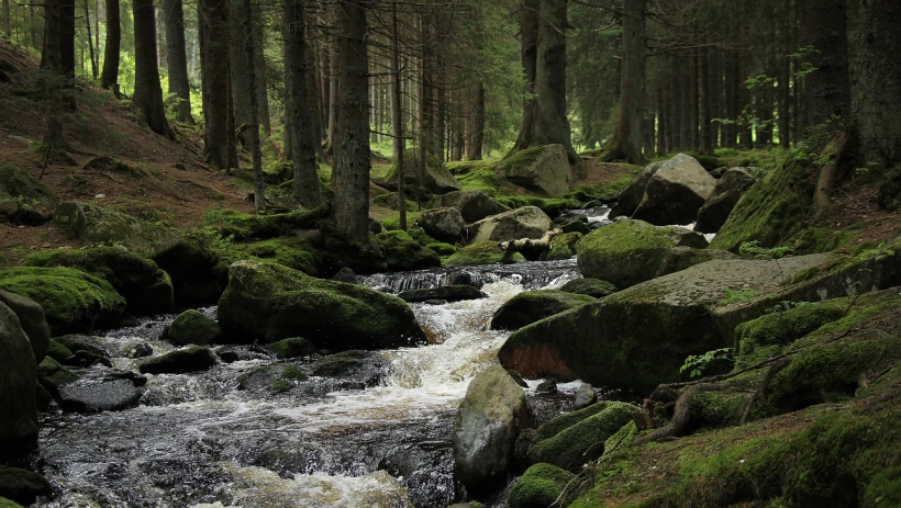 Národní park Šumava