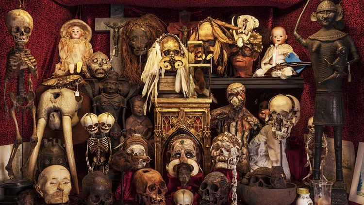 The Viktor Wynd Museum of Curiosities, Fine Art & Natural History | Museums  in Hackney, London