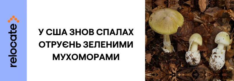 У Каліфорнії спалах отруєнь дикорослими грибами