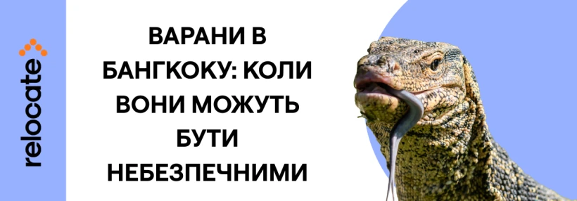 Велетенські ящірки «повертають» собі Бангкок - Relocate.to Велетенські ящірки «повертають» собі Бангкок
