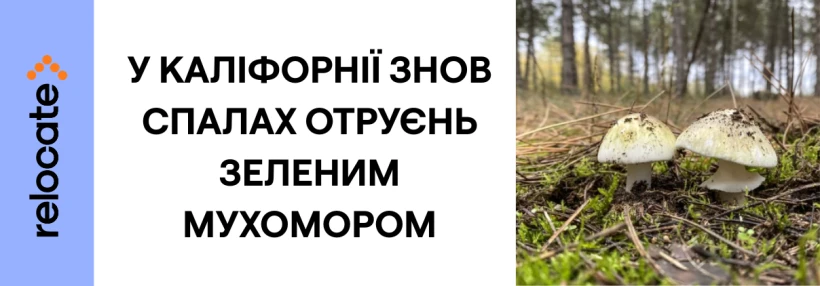 У Каліфорнії четверо людей загинули після отруєння грибами