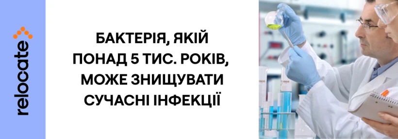 Учені розкрили секрет бактерії з вічної мерзлоти - Relocate.to Учені розкрили секрет бактерії з вічної мерзлоти