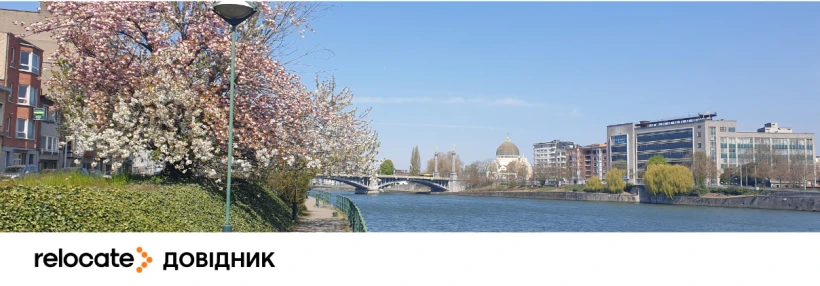 10 помилок, через які українці в ЄС втрачають час при зміні статусу