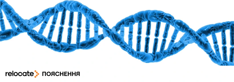 Які українці можуть претендувати на паспорт ЄС через репатріацію - Relocate.to Які українці можуть претендувати на паспорт ЄС через репатріацію