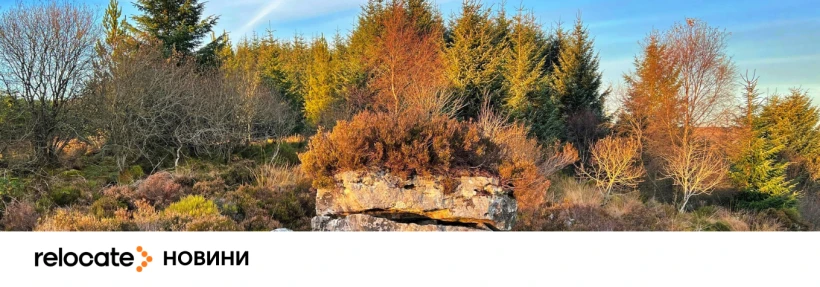 У Північній Ірландії виявили неолітичну гробницю віком 5500 років - Relocate.to У Північній Ірландії виявили неолітичну гробницю віком 5500 років