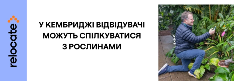 Рослини заговорили: у Кембриджі презентували виставку з ШІ - Relocate.to Рослини заговорили: у Кембриджі презентували виставку з ШІ