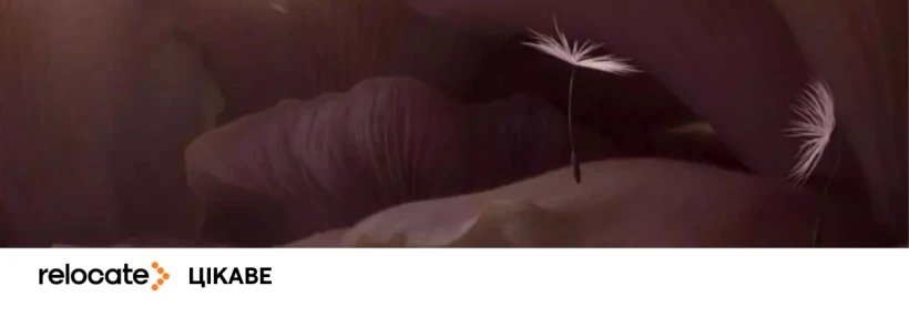 «Ми всі іноземці»: японська режисерка Момоко Сето порівнює мігрантів з насінням кульбаби