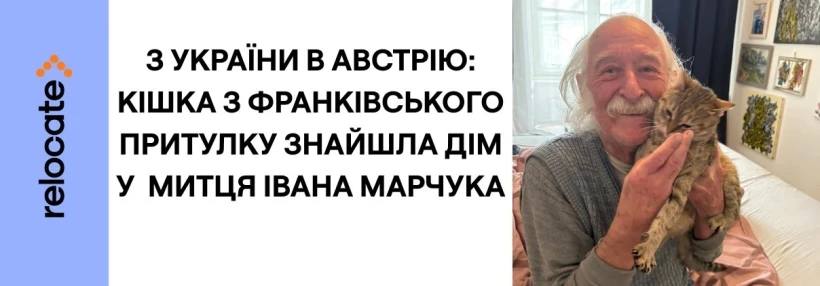 Художник Іван Марчук врятував безпритульну кішку з Івано-Франківська