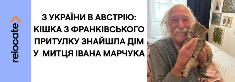 Український художник Іван Марчук врятував безпритульну кішку з Івано-Франківська
