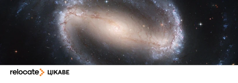 Чи можна зачати дітей у космосі: відповідь дослідників