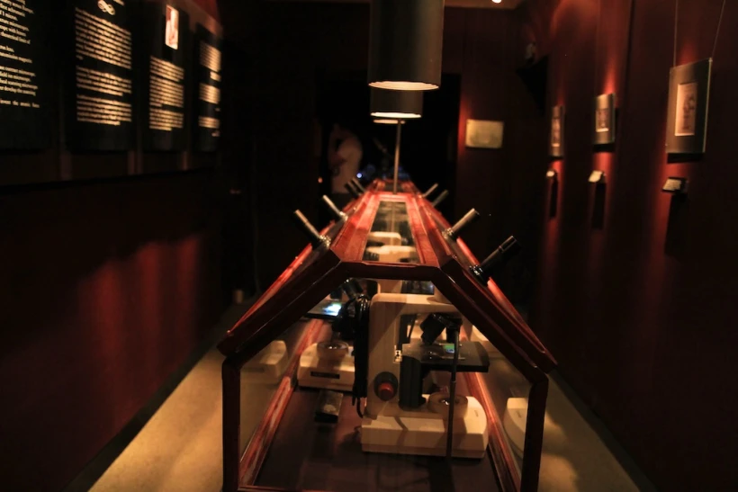 Museum of Jurassic Technology in Los Angeles: LA's Strangest Museum -  California Through My Lens