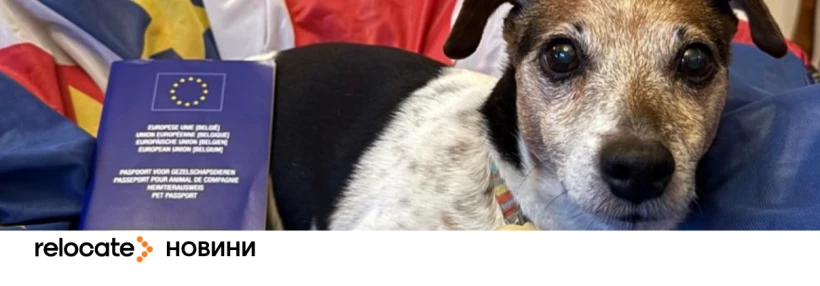 ЄС посилює правила в’їзду з домашніми тваринами