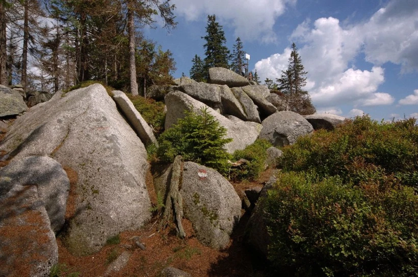 Natural Circumstances | Šumava National Park