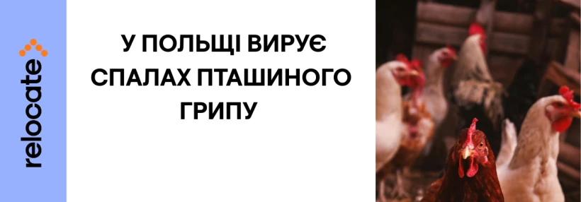 Спалах грипу у Польщі вразив понад 3,5 млн птахів