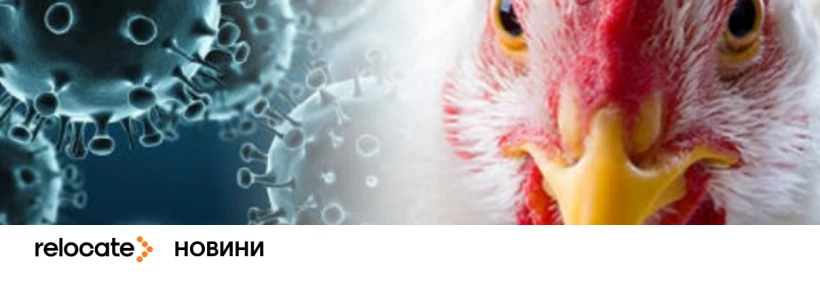 Пташиний грип дістався Європи: в Італії зафіксовано перший випадок зараження людини - Relocate.to Пташиний грип дістався Європи: в Італії зафіксовано перший випадок зараження людини