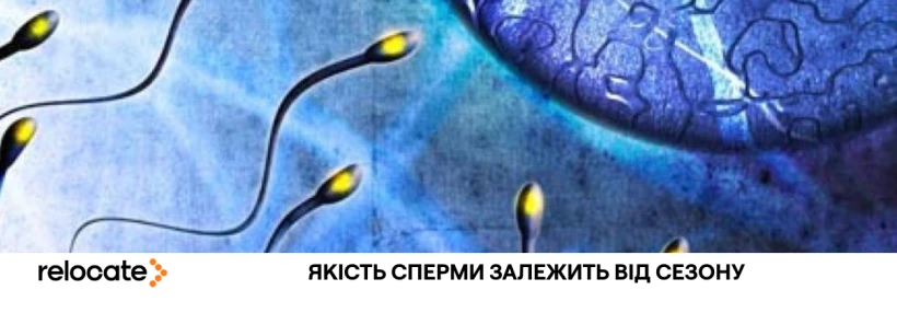Зв'язок між сезоном і чоловічою фертильністю: що каже наука