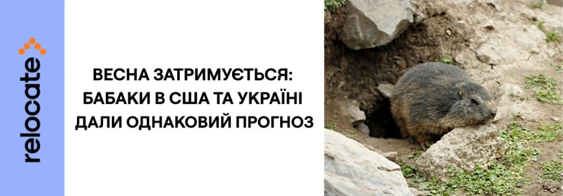 Коли прийде весна: прогноз бабаків США і України