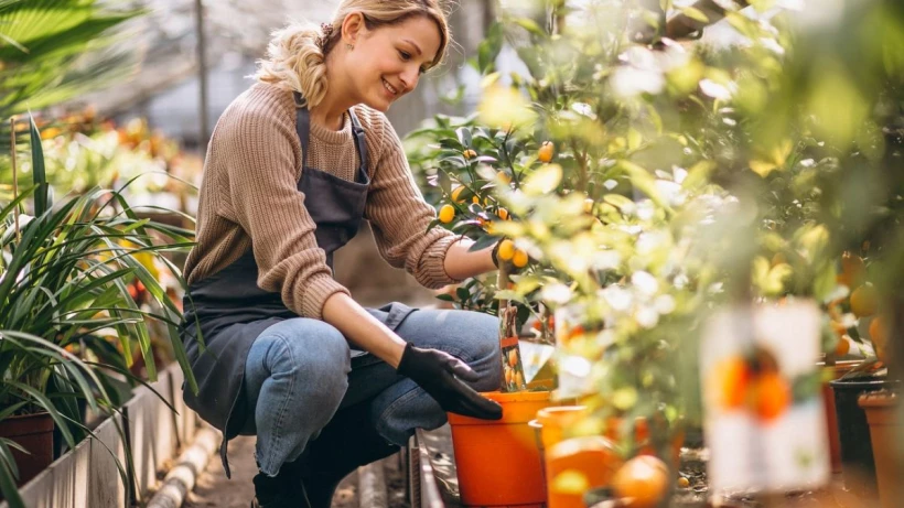 woman-looking-after-plants-greenhouse-1200x675jpg_05b6wt.webp