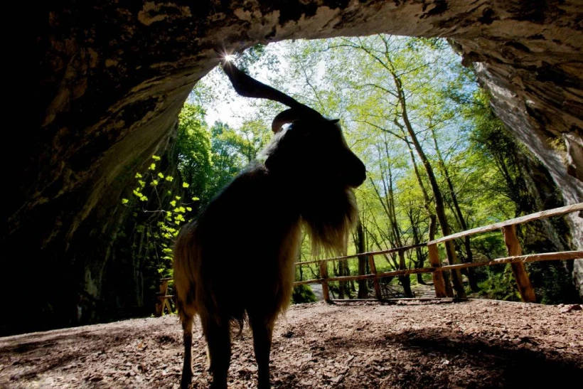 Zugarramurdi and other caves | Visit Navarra - Official Website of the Navarre Tourist Board